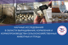 Научные исследования в области выращивания, кормления и кормопроизводства сельскохозяйственных животных и птицы