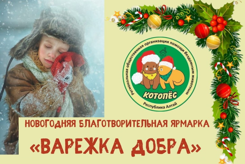 Новогодняя благотворительная ярмарка «Варежка Добра»: позаботьтесь о бездомных животных 