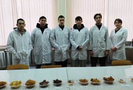 Учеными ГАГУ начаты исследования потребительских свойств картофеля 