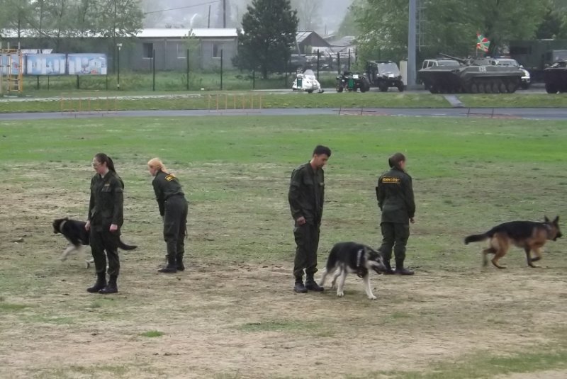 Студенты аграрного колледжа приняли участие в военно-спортивном празднике