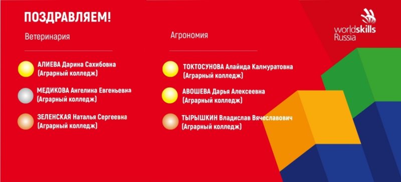 Подведены итоги регионального этапа чемпионата «Молодые профессионалы» 