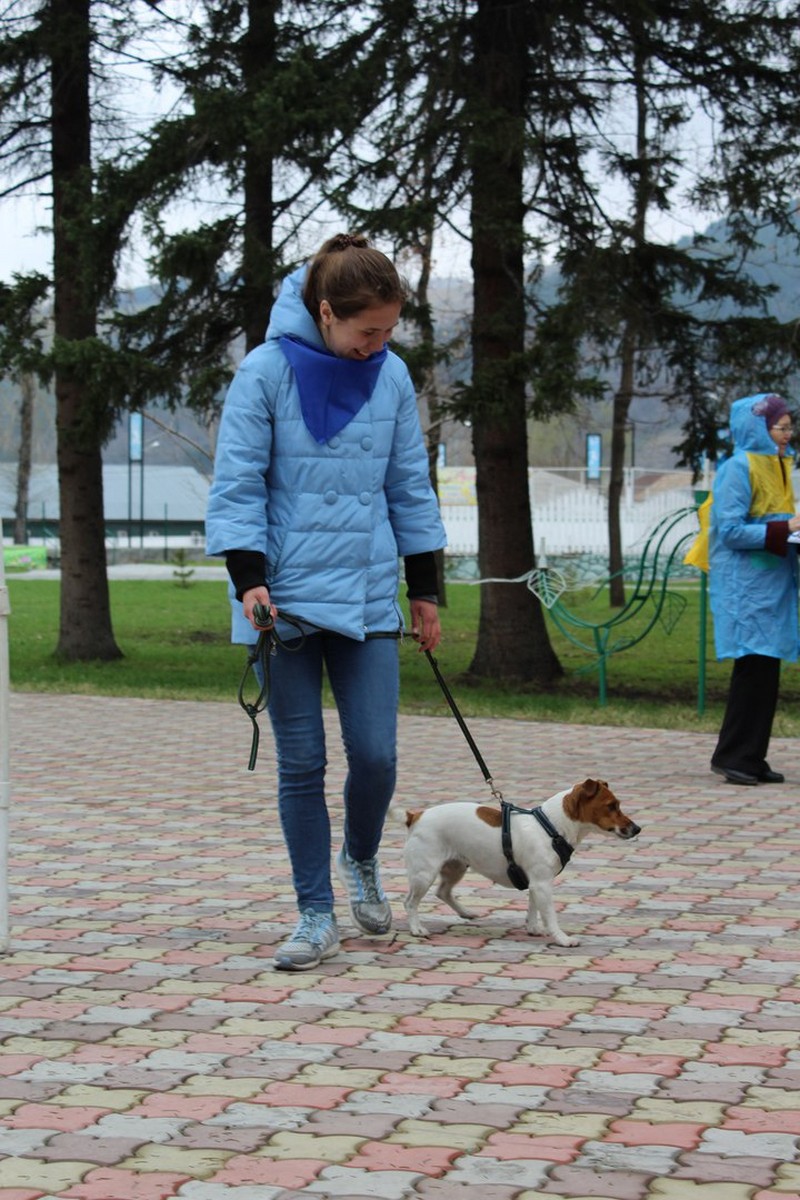 Студенты аграрного колледжа приняли участие в акции в поддержку бездомных животных