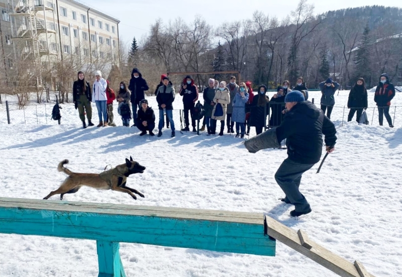 Учащиеся Чергинской СОШ посетили Аграрный колледж ГАГУ 